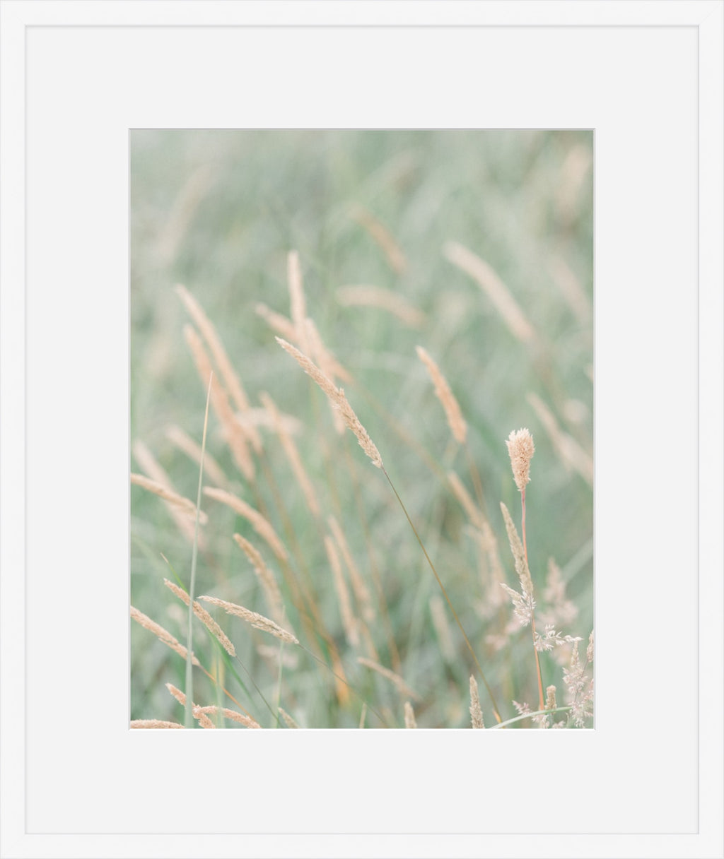 Grass