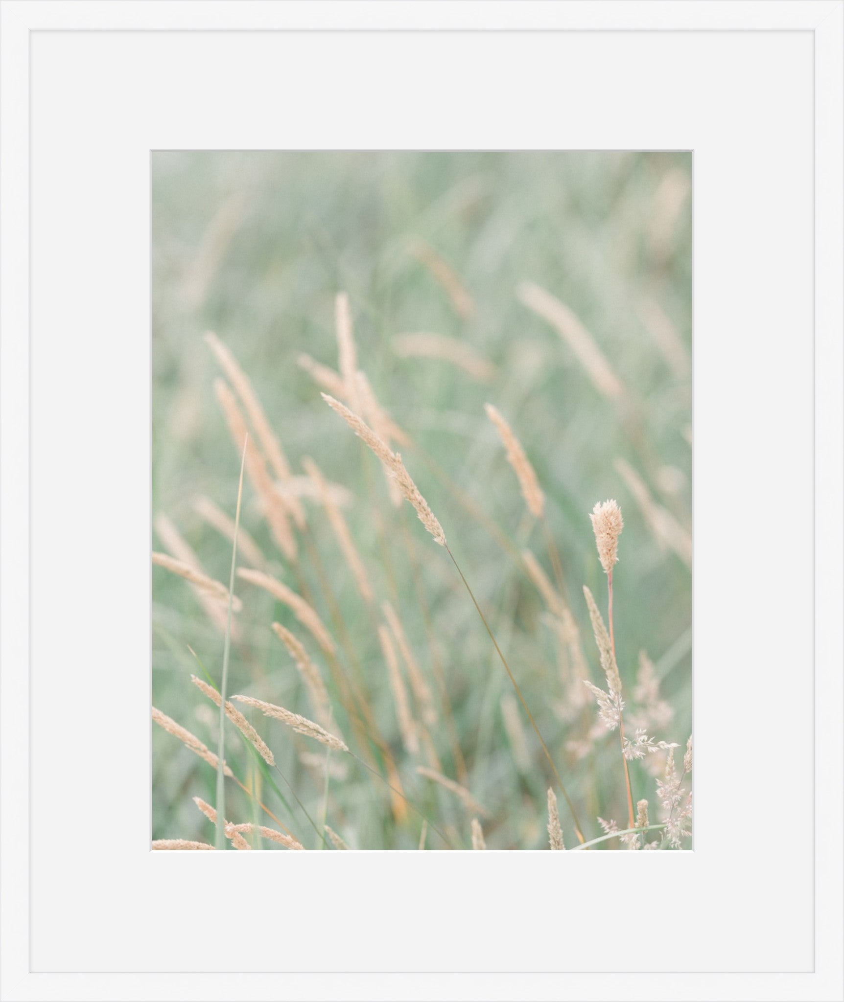 Grass