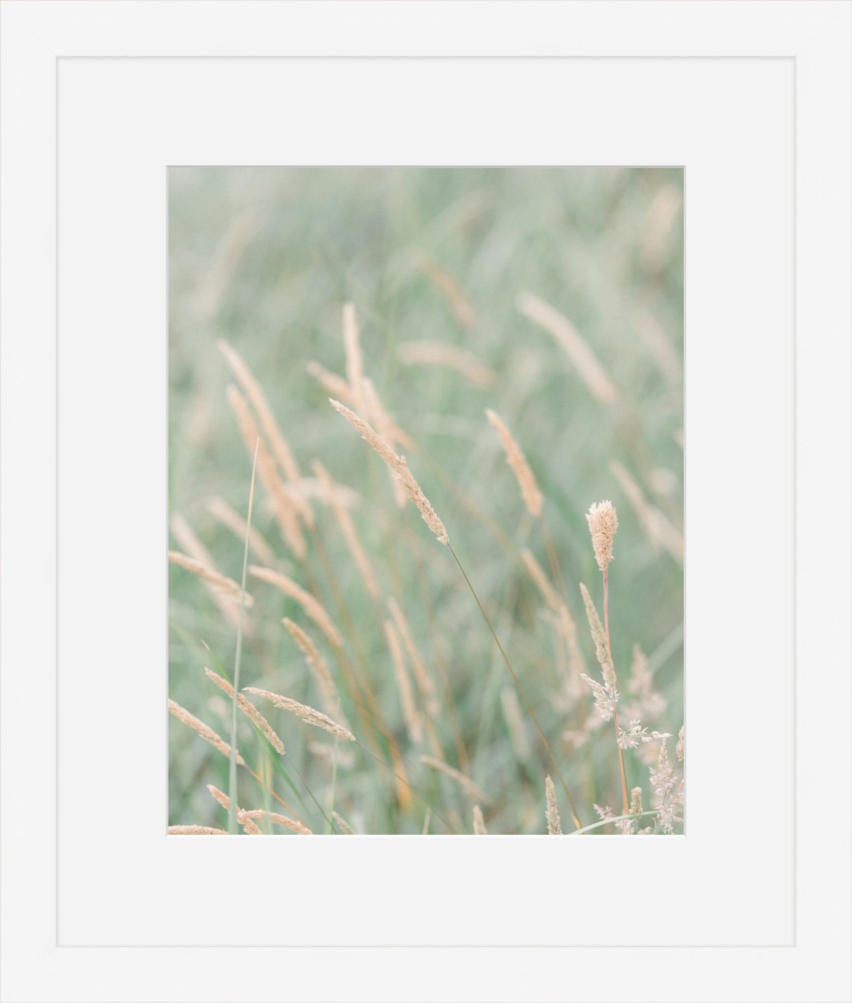 Grass