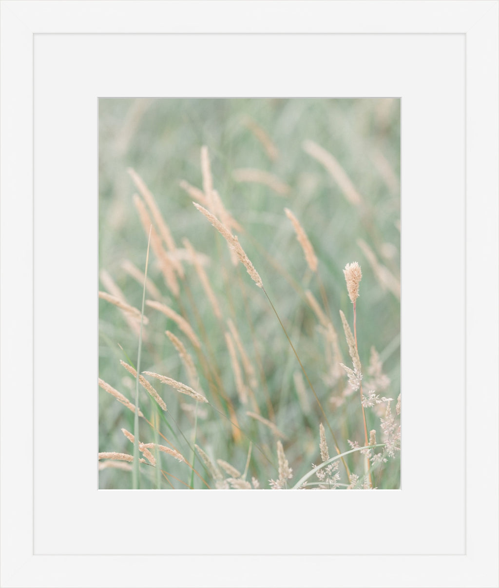 Grass