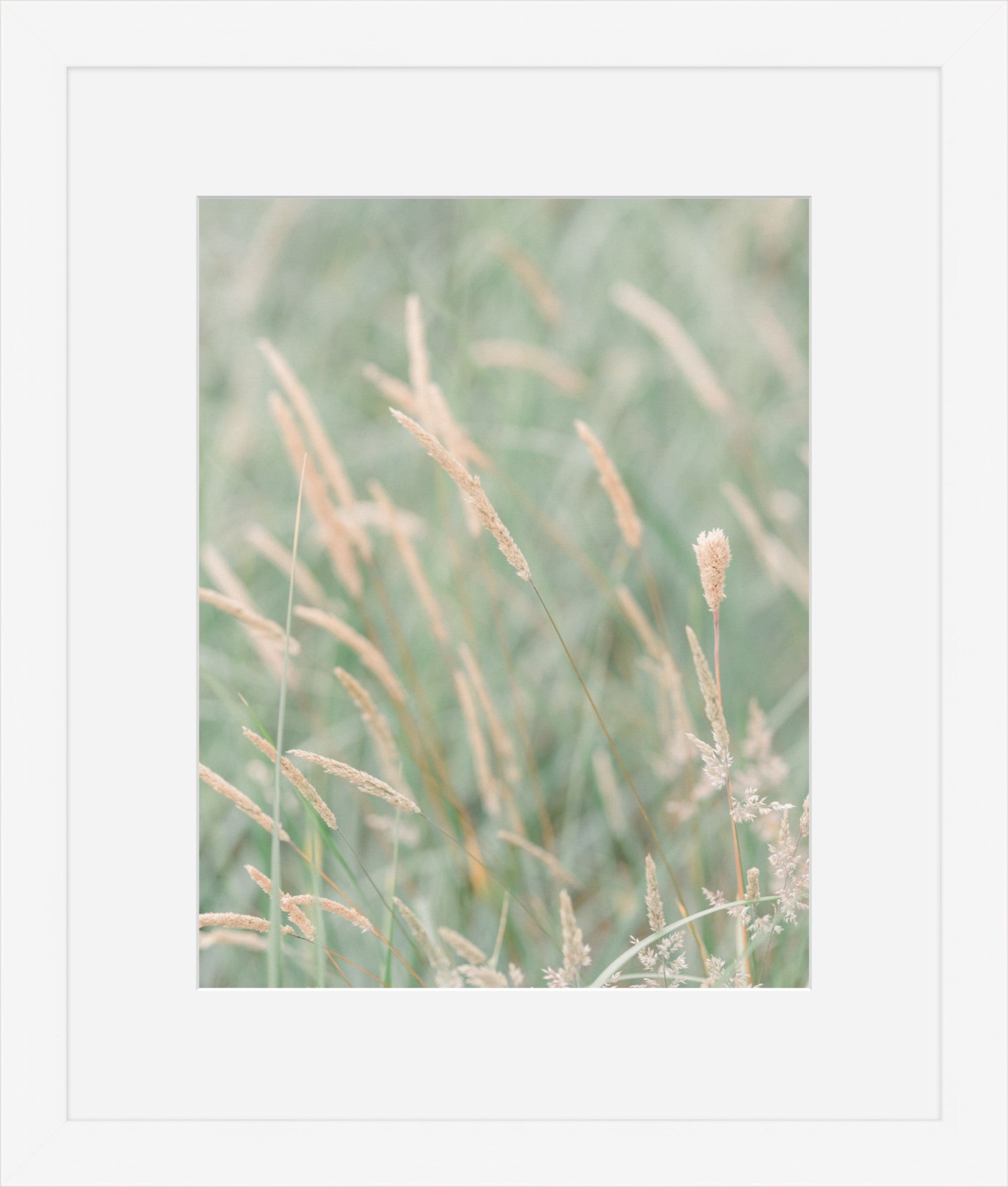 Grass