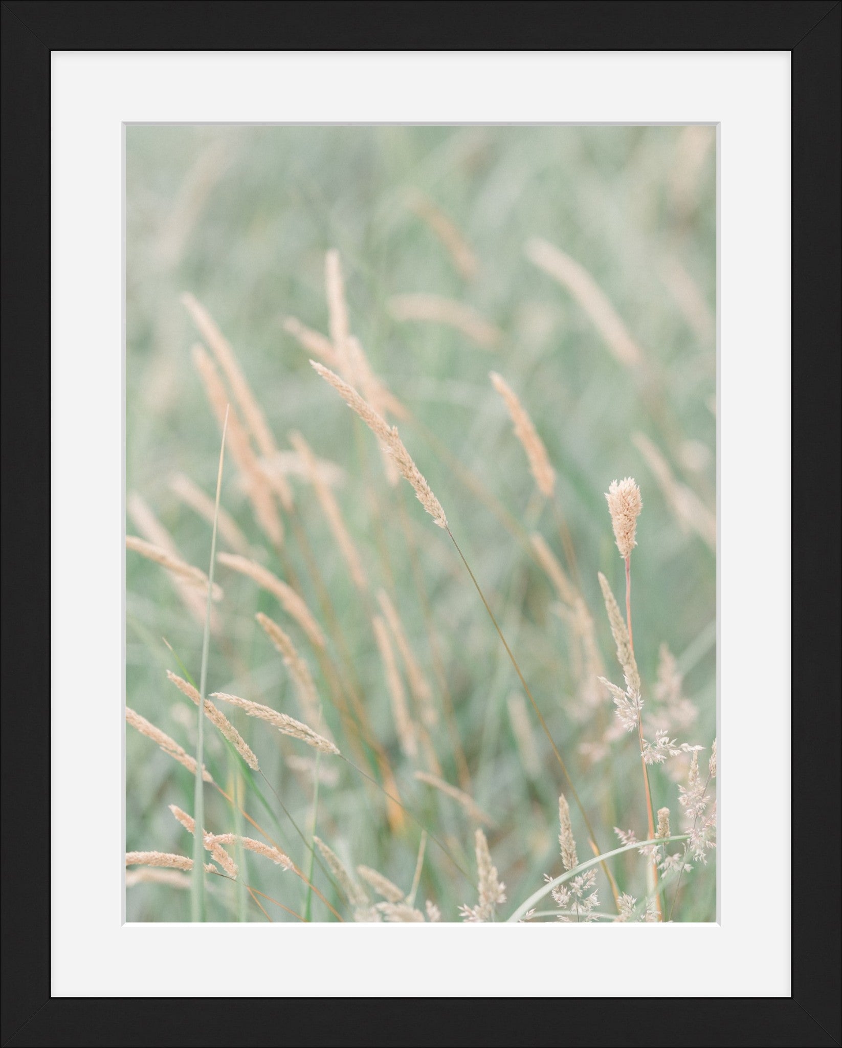 Grass
