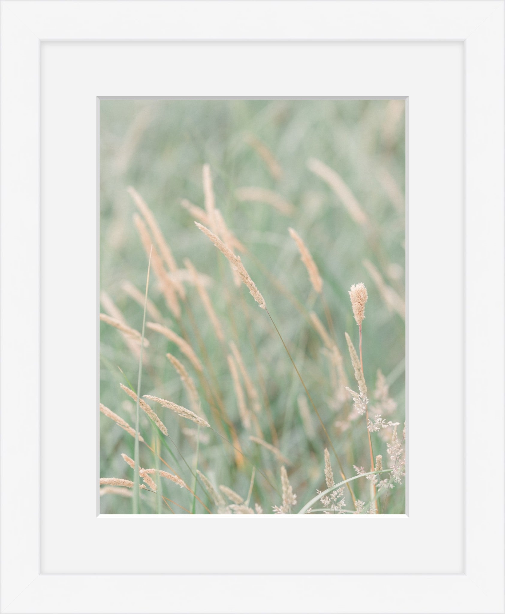 Grass