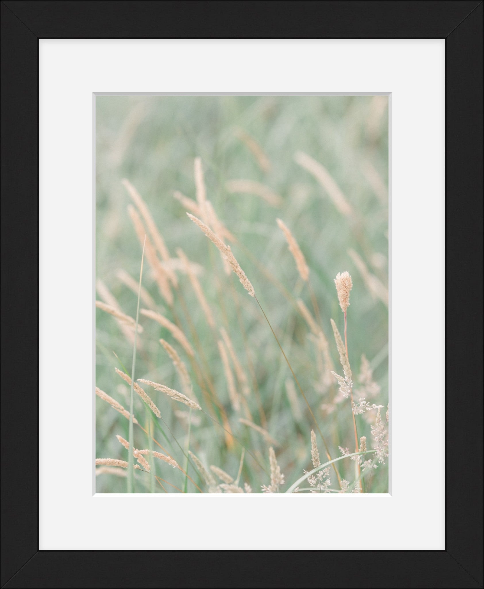 Grass