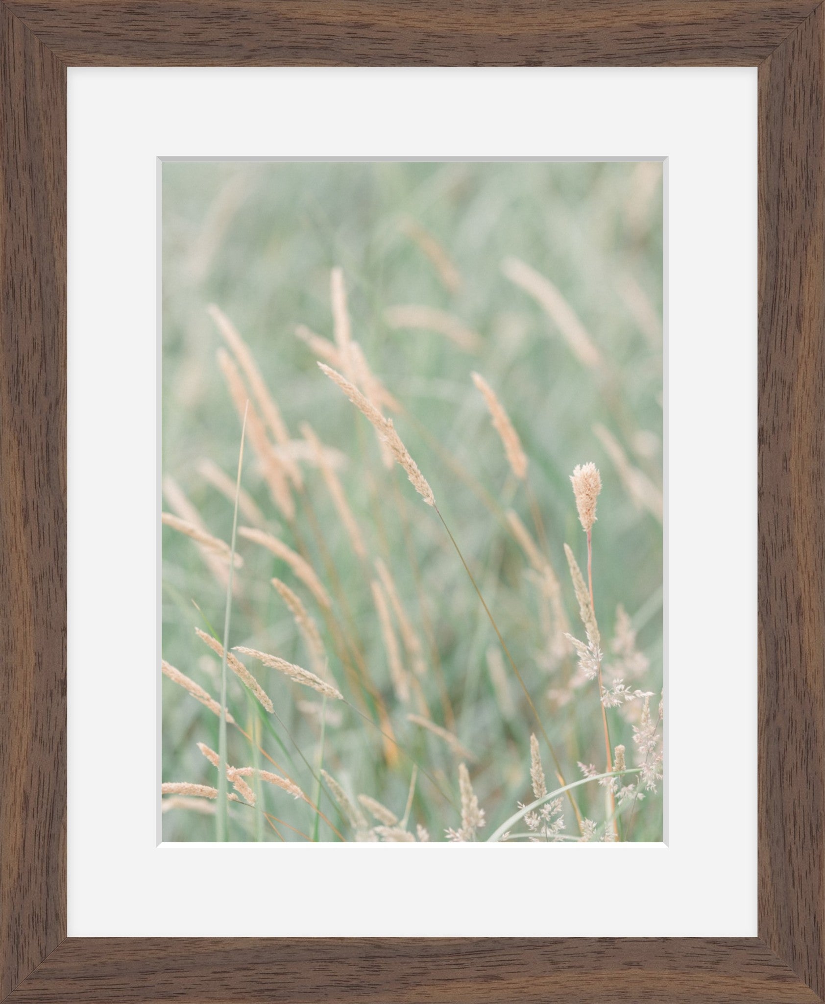 Grass